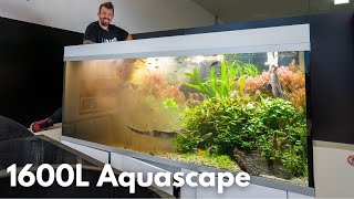 Das größte Aquascape in Österreich muss abgebaut werden! by Liquid Nature 24,649 views 2 months ago 11 minutes, 13 seconds