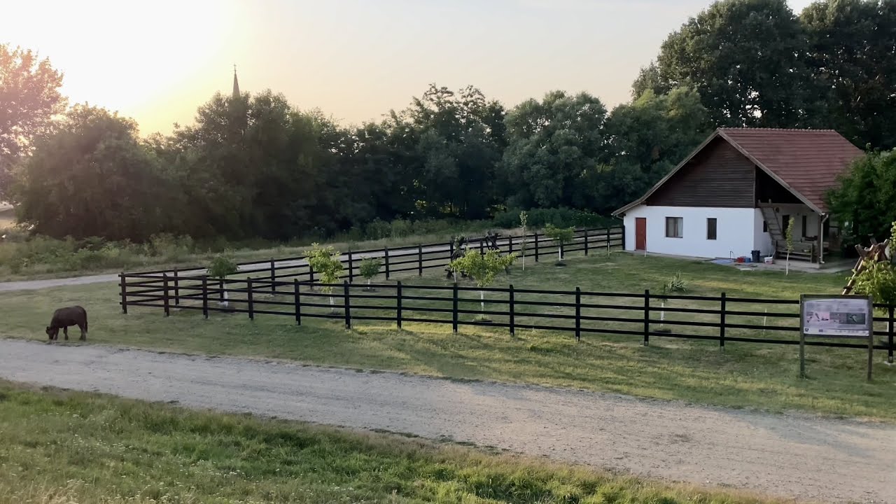 Откройте для себя красивые и уникальные места в городе Печича, Арад, Румыния