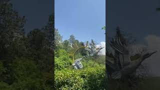 Gözel Tebiet Videolari