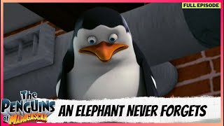 The Penguins of Madagascar | Full Episode | An Elephant Never Forgets