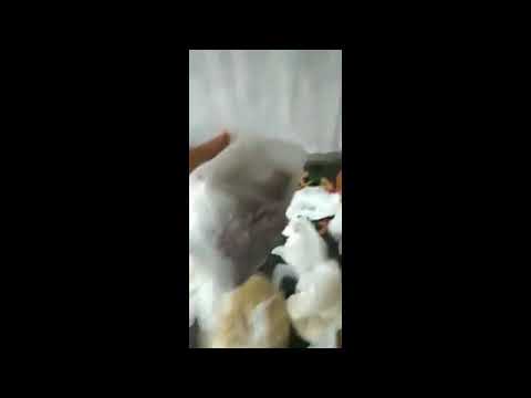 \"უბრალოდ ნახეთ რა დაურიგეს ბაღში ბავშვებს\"