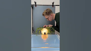 Creative Product Photography Using Molusx100 
