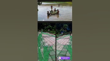 24h Với Lưới Quét Cá, Lưới Vét Cá, Lưới Kéo Cá Dù 4x50m | Thành Quả Cả Túi Cá Quẫy Mạnh #shorts