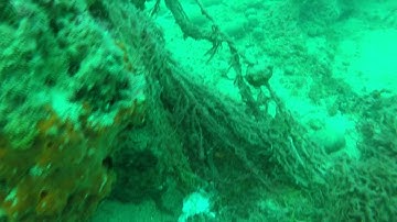 Fish releash and extraction of a ghost net.