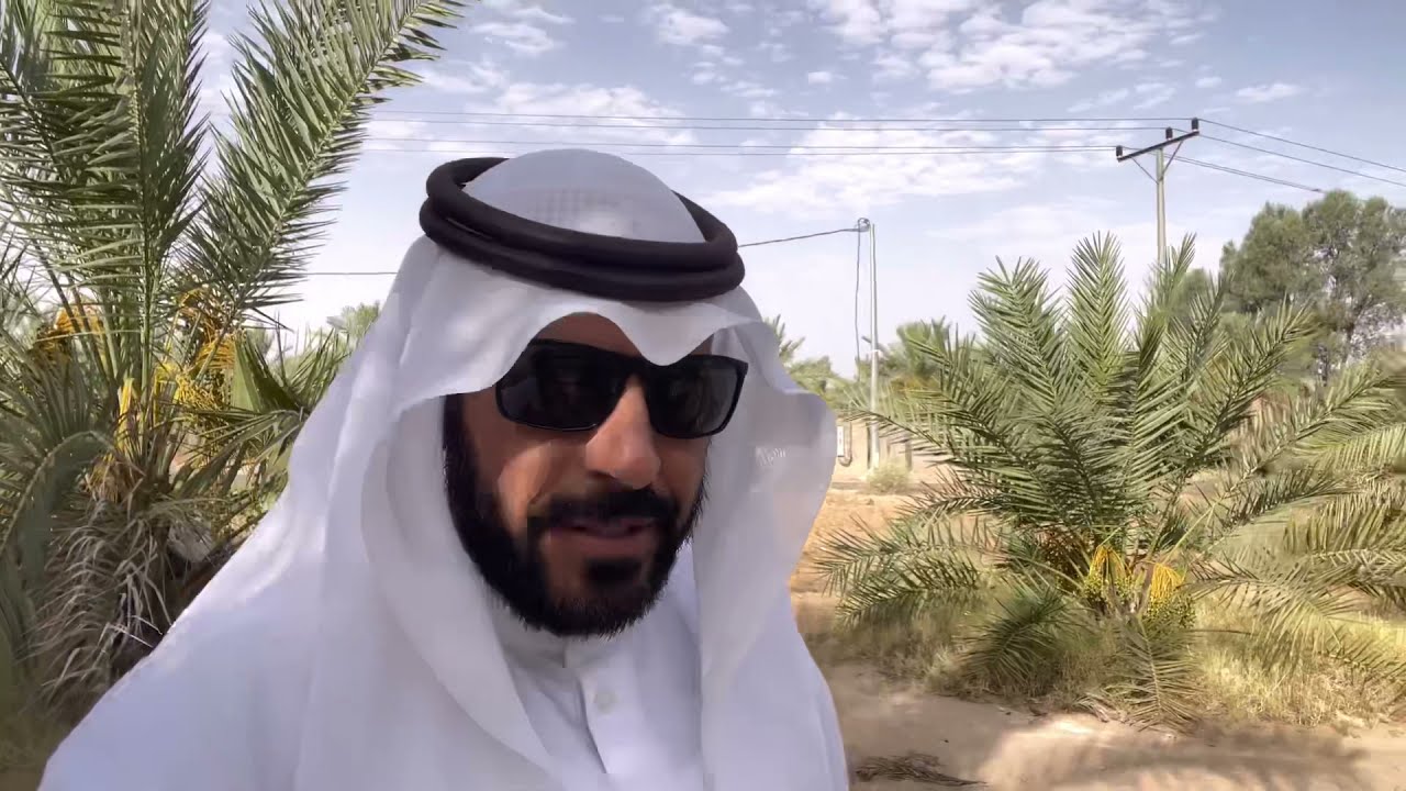 ٨ ملاين نخلة في منطقة القصيم