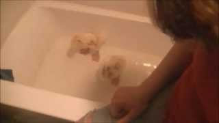 My Bunch O' Babies Part 2 Bath time and my special babies