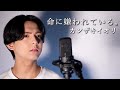 命に嫌われている。/カンザキイオリ【バラードver】【歌ってみた】