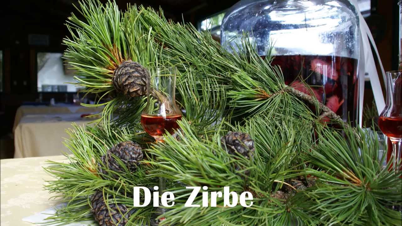 KINDLER TV -  ZIRBEN - SCHNAPS - Bewertung 2013