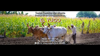 El Yugo | Servicio domingo