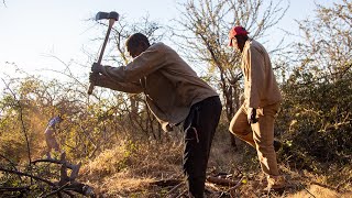 Download Lagu Namibia's Thorny Problem: Bush Biomass to Green Energy MP3 Download Lagu Namibia's Thorny Problem: Bush Biomass to Green Energy MP3