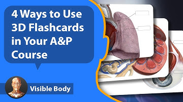 4 Ways to Use 3D Flashcards in Your A&P Course