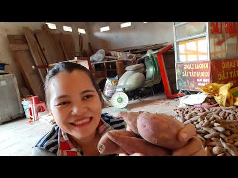 Khoai Lộc Bình Lạng Sơn - Giới thiệu về củ khoai lang mật nghệ Lộc Bình, Lạng Sơn.