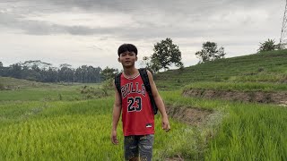 Download Lagu countryside with me MP3