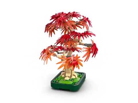 Miniatura del video del prodotto LEGO - BOTANICALS Bonsai di acero rosso giapponese 10348