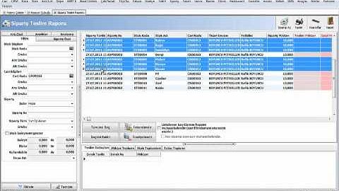AKINSOFT WOLVOX ERP Sipariş Muhasebelendirme