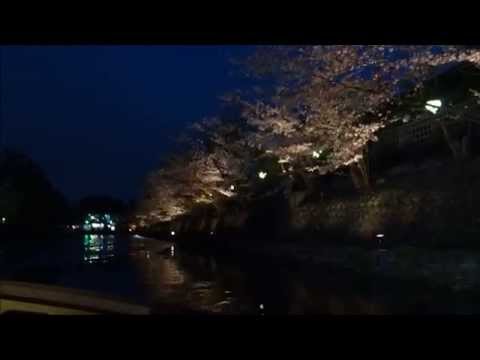 岡崎 桜回廊 琵琶湖疏水 十石舟めぐり