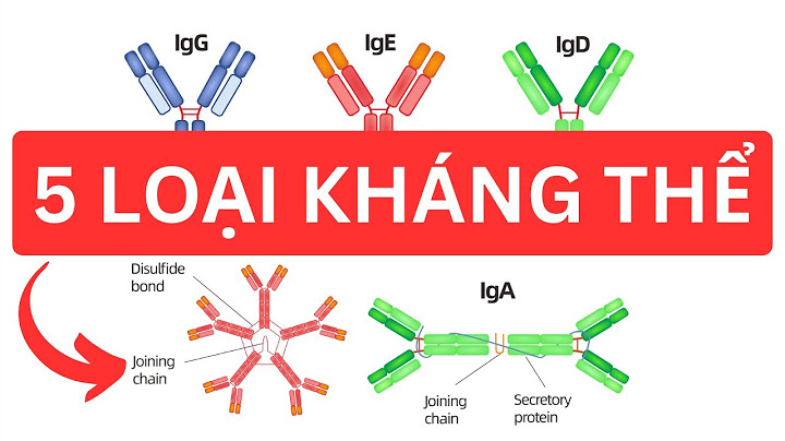 Miễn dịch là gì có những loại miễn dịch nào năm 2024