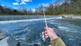 Creek Fishing for Rainbow & Brown TROUT