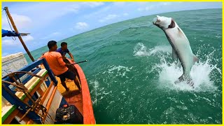 PESCARIA INSANA!! CAMURUPIM QUASE VIROU O BARCO! O maior salto que já filmei 😱