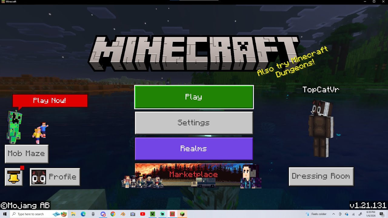 1 day of my minecraft world