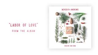 Video thumbnail of "Meredith Andrews - Labor Of Love (Official Audio)"