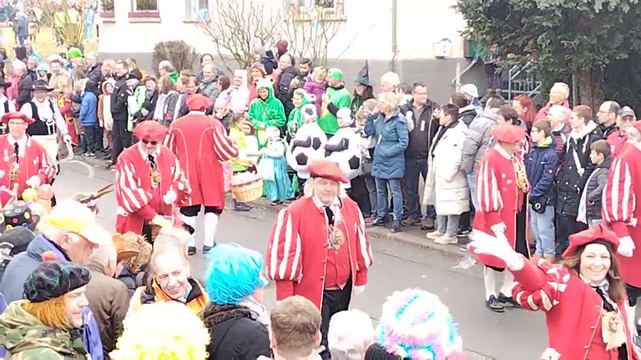 Geislingen Umzug 2024