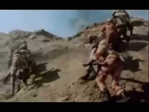 مصر اليوم فى عيد