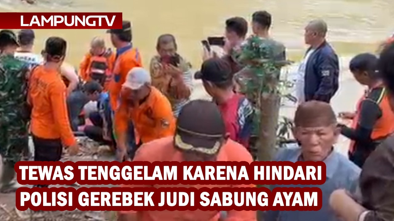 Tewas Tenggelam Karena Hindari Polisi Gerebek Judi Sabung Ayam