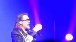 Florent Pagny - Les Murs Porteurs (concert à Paris 2014)