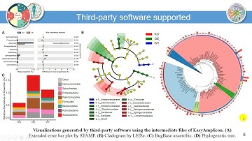 iMeta | EasyAmplicon: An easy-to-use pipeline for amplicon data analysis in microbiome research