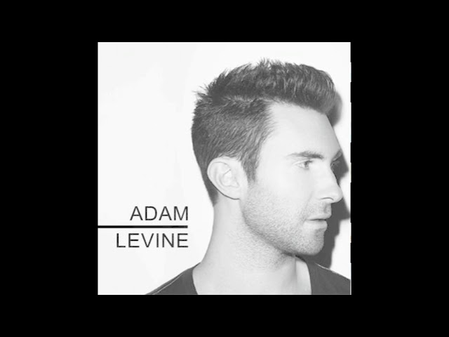 Adam Levine - Stereo Hearts (no rap) class=