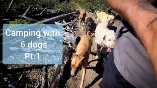 Camping With 6 Dogs Pt. 1 (May 2024)