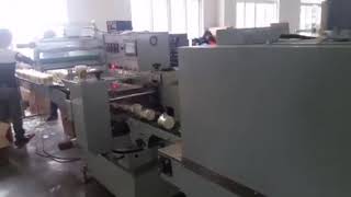 Multi function Pillow Type Packaging Machine