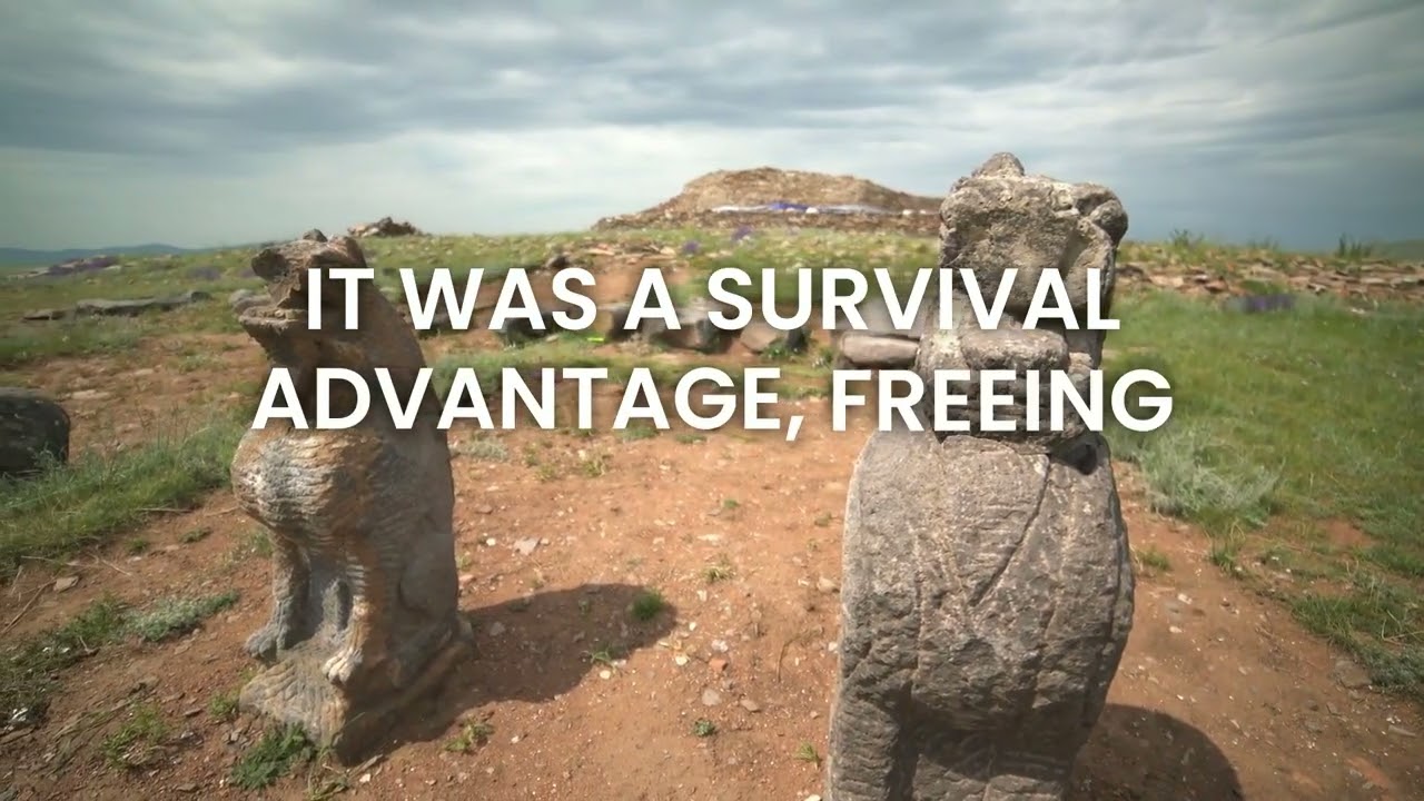 A look into the past: Discovering our evolutionary history through Lucy