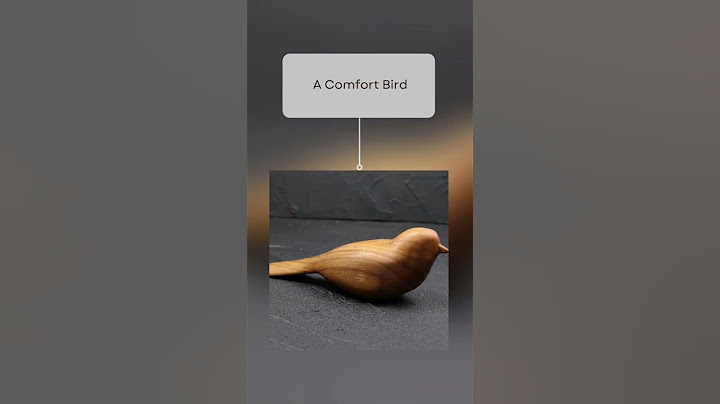 5 wood carving ideas for beginners you will love – lovespoon, gnome, comfort bird, cat, or seal.