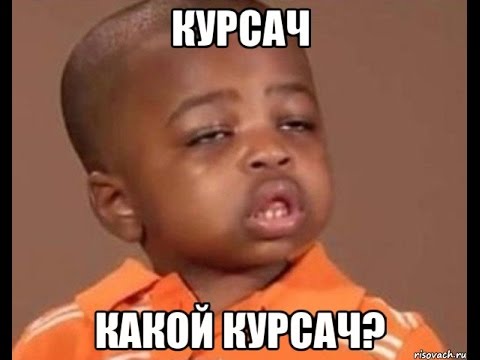 Картинки по запросу курсовой за ночь