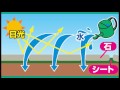 雑草が生えない天然石マット　ローマ調　4枚組