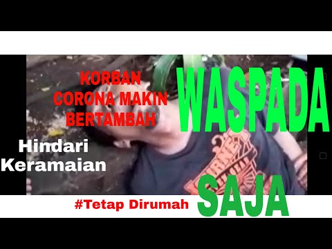 (update-terkini)-kumpulan-video-korban-virus-corona