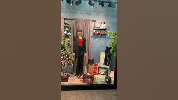 Moving Window Displays 2021