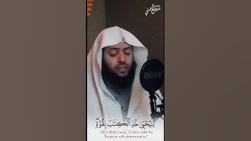 يا يحيى خذ الكتاب بقوة || الشيخ وديع اليمني تلاوة تنساب إلى قلبك 🤍 سورة مريم #وديع_اليمني