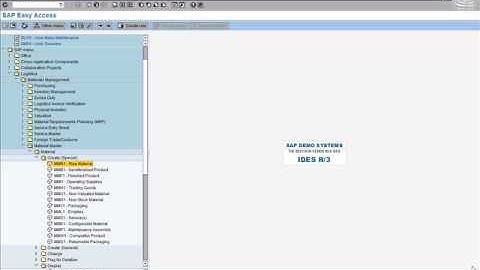 Preparing Material Master Data (PP-2)
