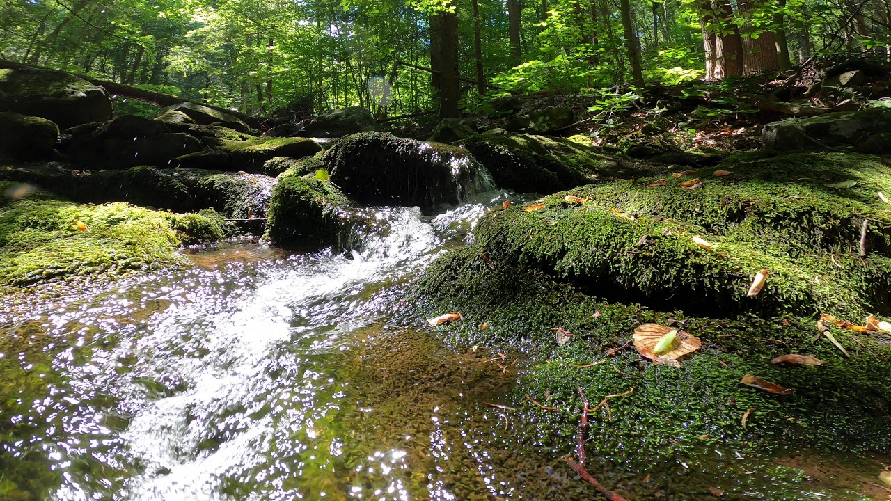 Moment of Zen- Ciaiola Preserve