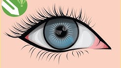 Tutorial Membuat Vector Mata  Menggunakan CorelDraw - Durasi: 29.11. 