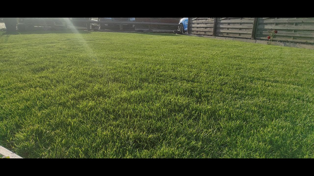 little video of me cutting the front 