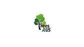 Boarding Kennels B J Boarding Kennels Cattery Youtube Boarding Kennels B J Boarding Kennels Cattery Youtube