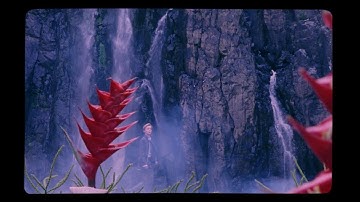 更生のため無人島に連れられた少年たち　生い茂る快楽を与えてくれる植物　映画「ワイルド・ボーイズ」予告