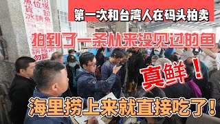 第一次和台湾人在码头拍卖拍到一条从来没见过的鱼海里捞上来就直接吃了真鲜齁甲感谢您一路的支持【Sean的世界TV】频道欢迎加入我的会员频道谢谢您一路的陪伴