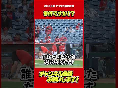 どうしたの！？驚き様が半端ない・・・！#大谷翔平 #Shorts