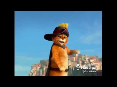 აჭარული ქოუბ-მიმები (7 ვიდეო)