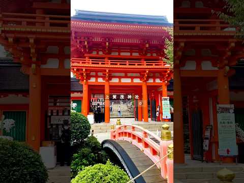 時を越えて、心を清める上賀茂神社　#京都旅 #上賀茂神社 #京都散歩